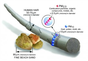 【轉載】 查了多篇科學文獻，給你一份PM2.5知識圖譜